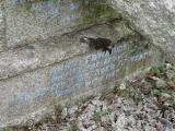 image of grave number 149328